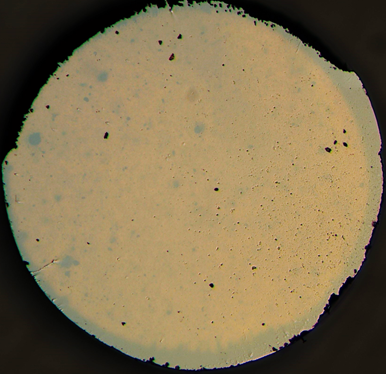 W020241227438372936274.png